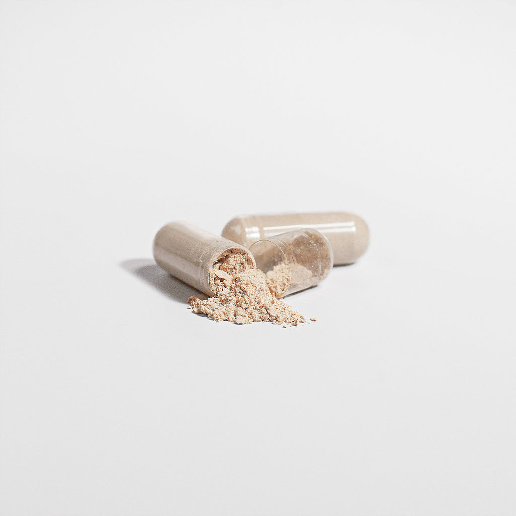 Lion’s Mane Capsules | Daily Focus + Clarity Support